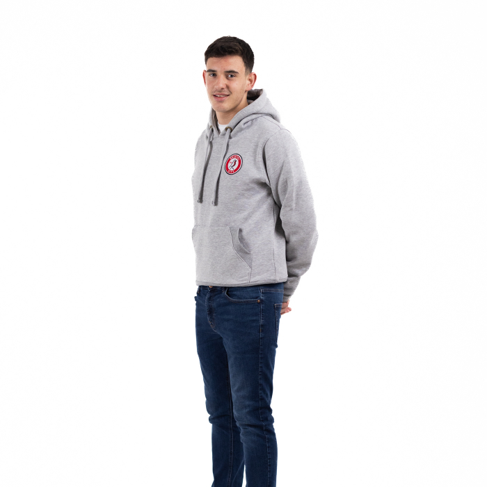 Bristol City Essentials Grey Hoodie - Adult