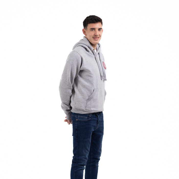 Bristol City Essentials Grey Hoodie - Adult