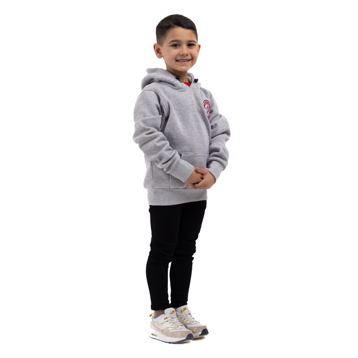 Bristol City Essentials Grey Hoodie - Youth