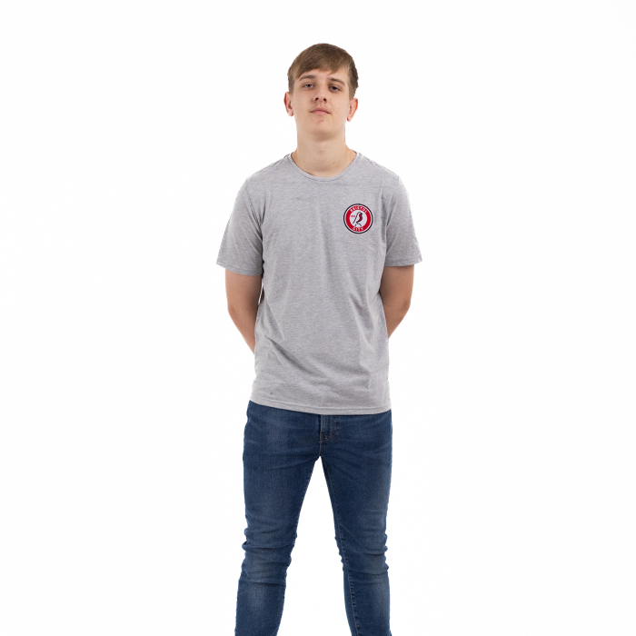 Bristol City Essentials Grey Tee - Adult