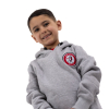 Bristol City Essentials Grey Hoodie - Youth