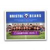 Bears 2020 Champions Print