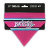 Bristol Flyers Away Kit Pet Bandana