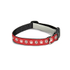 Bristol City Pet Collar