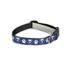 Bristol Bears Pet Collar