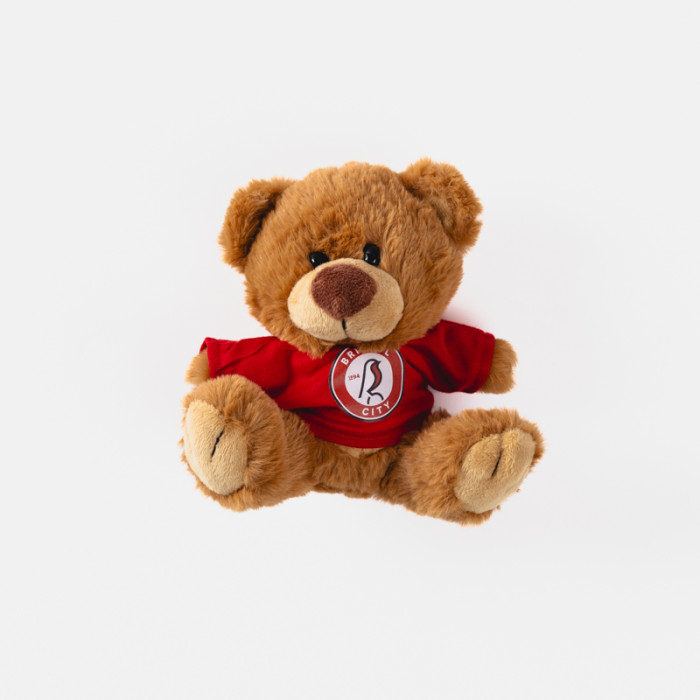 Bristol City Miniature Teddy