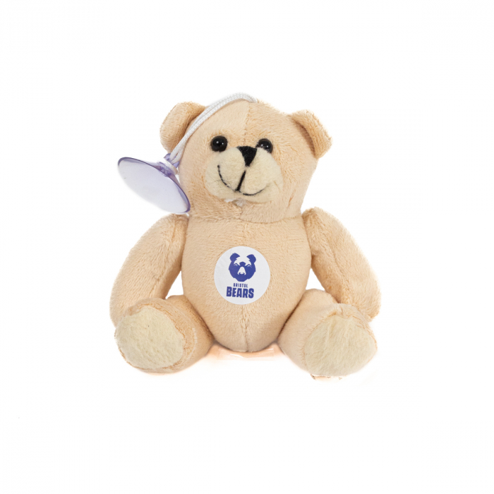 Bristol Bears Window Teddy