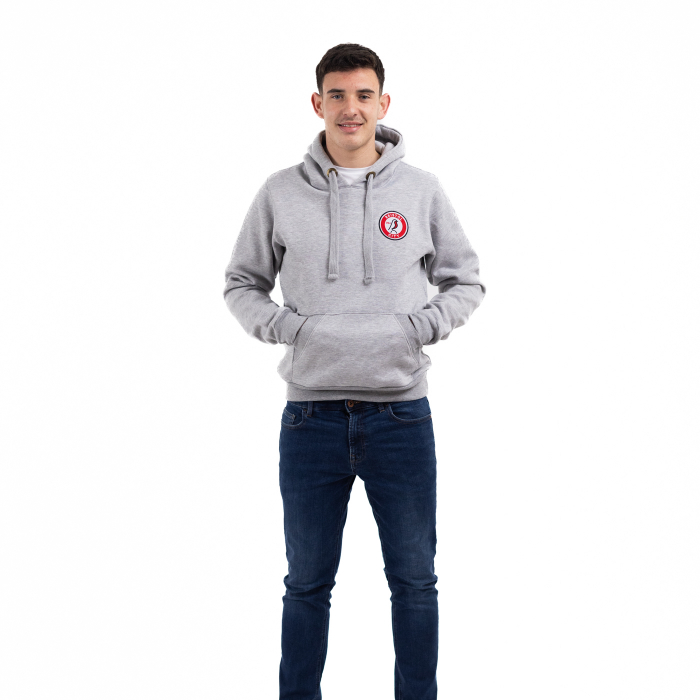 Bristol City Essentials Grey Hoodie - Adult