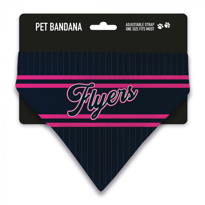 Bristol Flyers Home Kit Pet Bandana