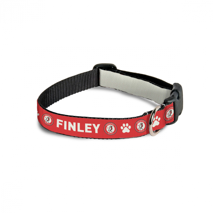 Bristol City Custom Pet Collar